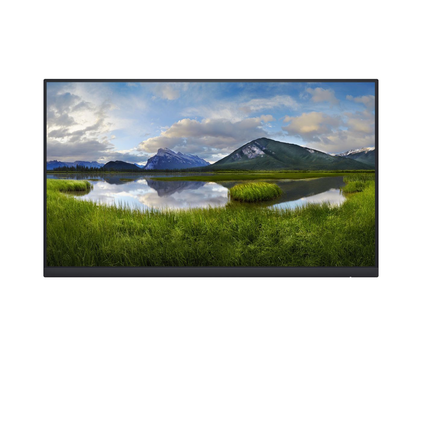 24 Monitor - P2422H no stand