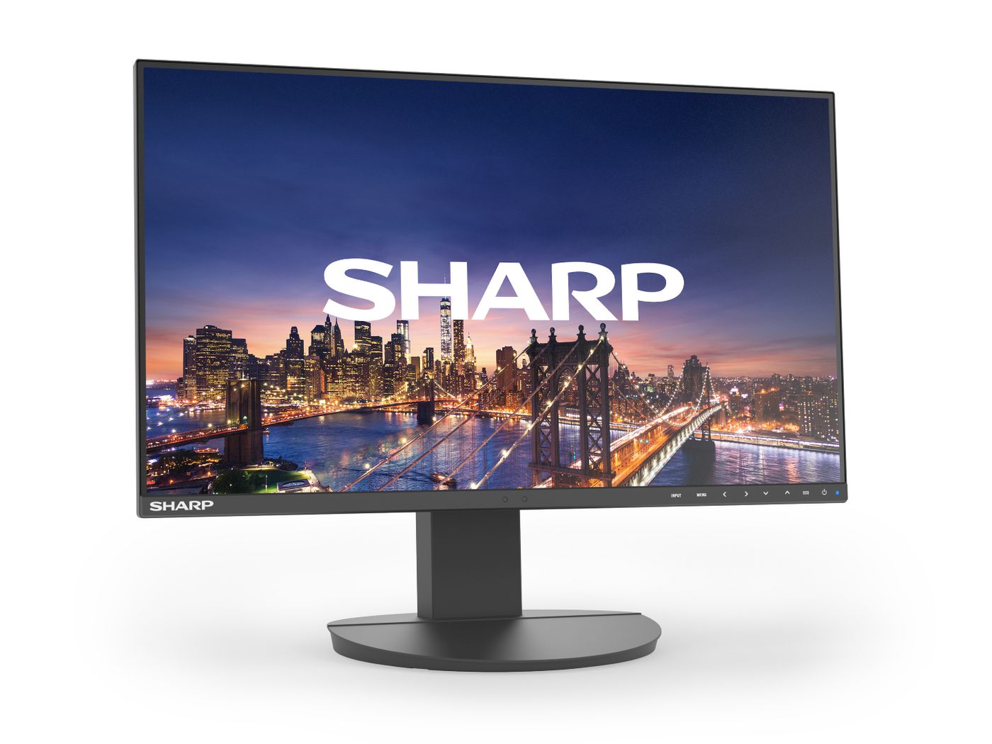 Sharp MultiSync EA242F computer monitor 61 cm (24") 1920 x 1080 pixels Full HD LCD Black