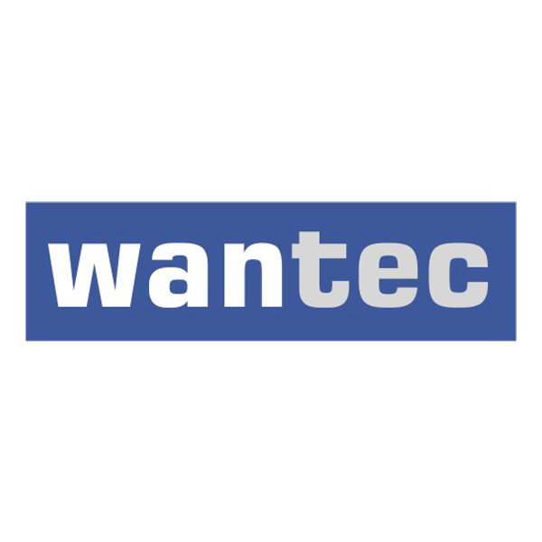 Wantec wW PatchkabelCat.7 Rohkabel gewinkelt (90Â°oben) SSTP grau 1,0m (7573)