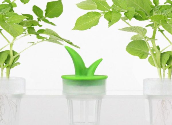 VegeBOX Planting hole Cover(10pcs/set)